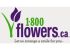1-800-flowers Canada