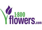 1800Flowers.com, Domain Administrator