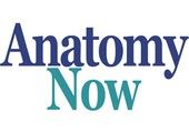 Anatomynow.com