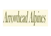 Arrowhead Alpines