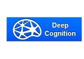 Deep Cognition Ltd.