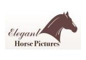 Elegant Horse Pictures