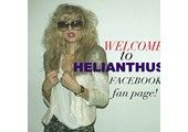 Helianthusny.com