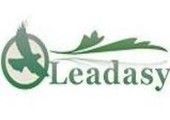 Leadasy