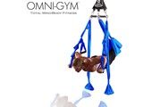 Omni-Gym & Yoga Swings