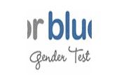 Pink or Blue Baby Test
