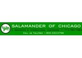 Salamander Shoes of Chicago