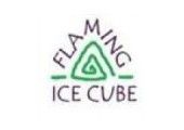 The Flaming Ice Cube