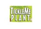 Tickle Me Plant